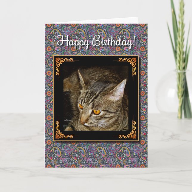 Golden Eyes Birthday Card (Front)