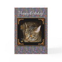 Golden Eyes Birthday