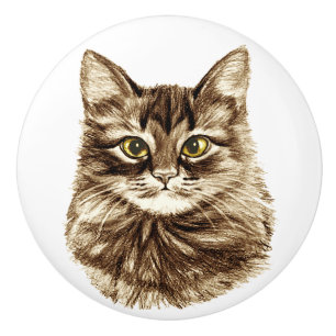 Golden Eyes Cat Cabinet Cupboard Drawer Pulls Knob