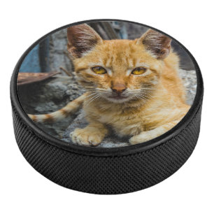 Golden Eyes Hockey Puck
