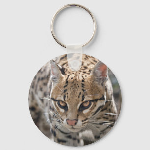 Golden Eyes Keyring