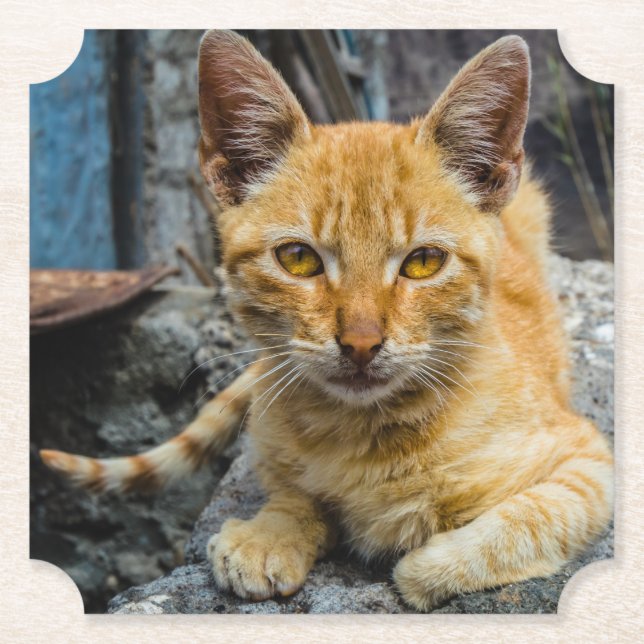 Golden Eyes Paper Coaster (Front)