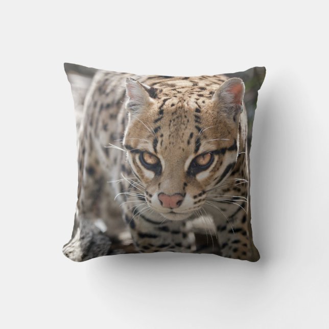 Golden Eyes Pillow (Front)