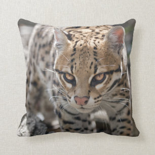 Golden Eyes Pillow