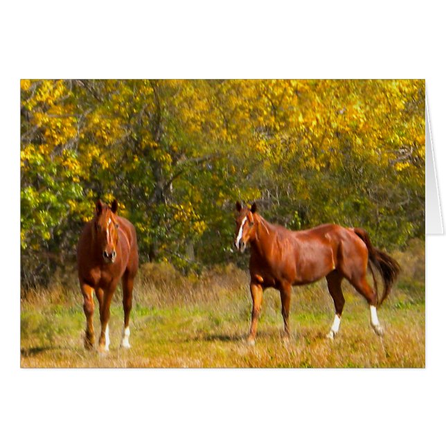 Golden Fall Horses (Front Horizontal)