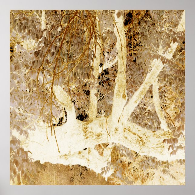 Golden Fall.... Poster (Front)