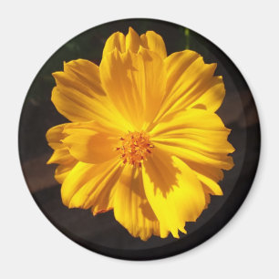 Golden Flower Macro Photography Magnet