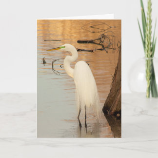 Golden Folded Greeting Card