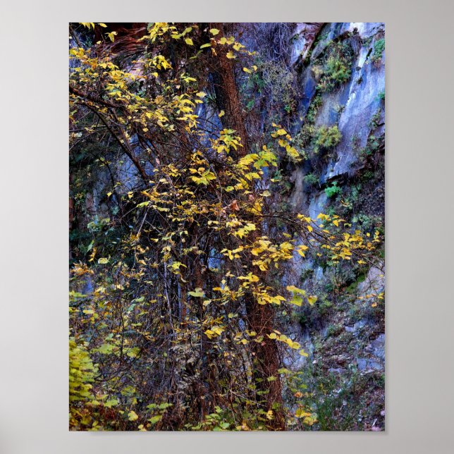 Golden foliage poster (Front)