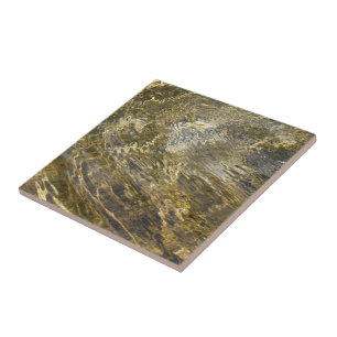 Golden Fountain Water Tile