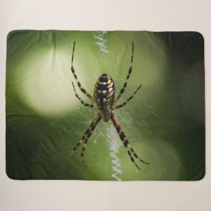 Golden garden spider photography sherpa blanket