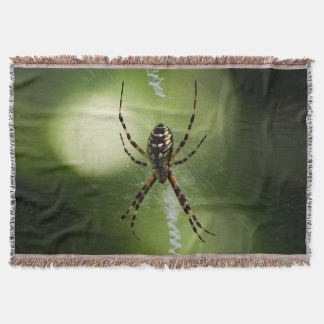 Golden garden spider photography Throw blanket (Front)