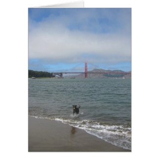 Golden gate bridge Jake