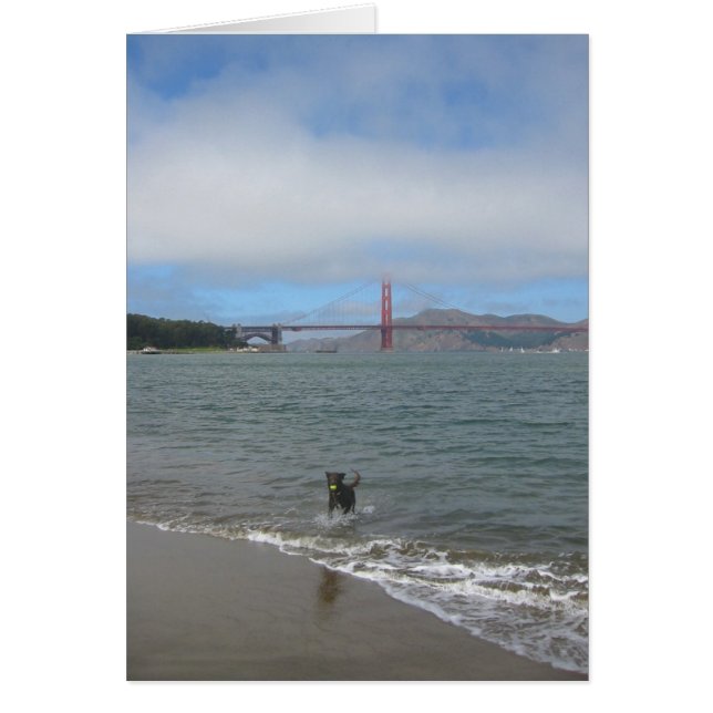 Golden gate bridge Jake (Devant)