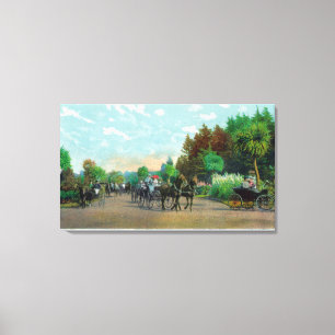 Golden Gate Park Driveway View Canvas Print