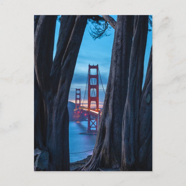 Golden Gate Through the Cypresses Postcard (Front)