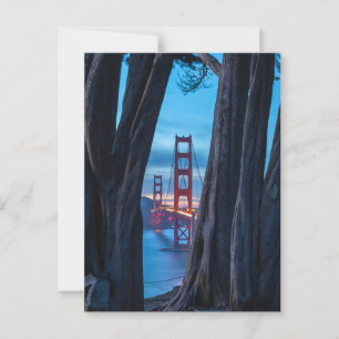 Golden Gate Through the Cypresses Postcard