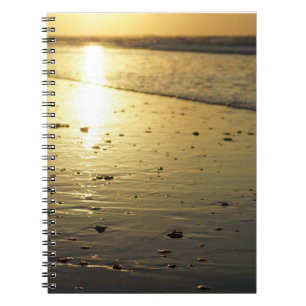 Golden Glassy Sand Notebook