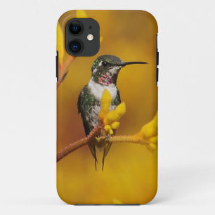 Golden Glow iPhone 11 Case