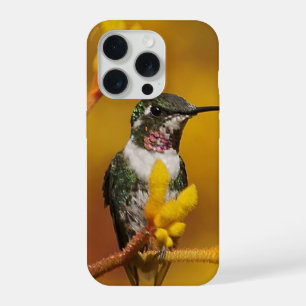 Golden Glow iPhone 15 Pro Case