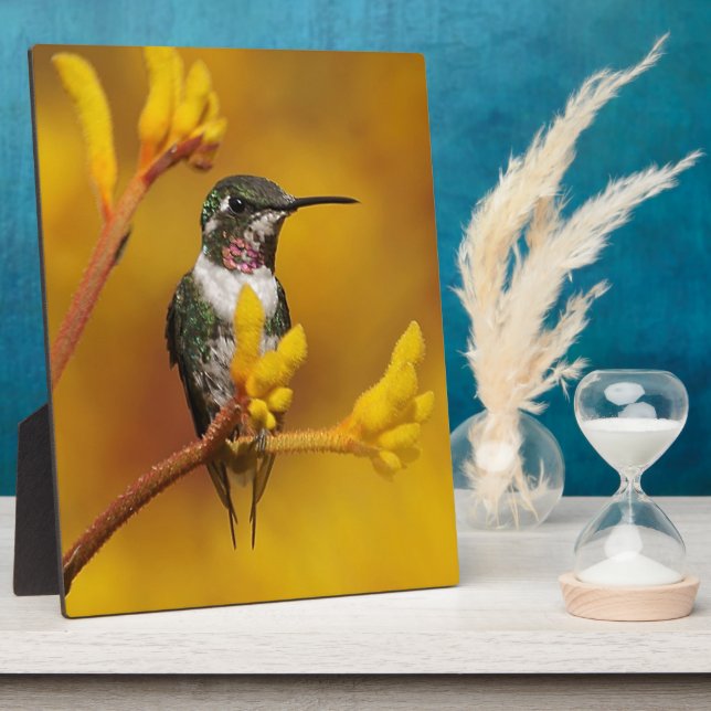 Golden Glow Plaque (Side)