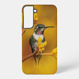 Golden Glow Samsung Galaxy Case