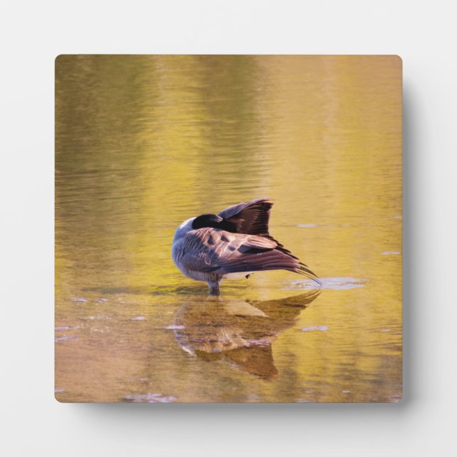 Golden Goose Plaque (Front)