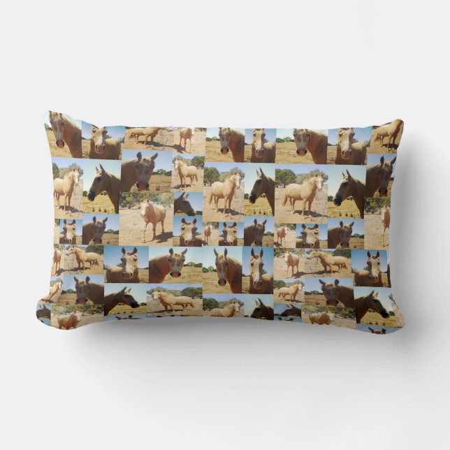**"Golden Grace: A Palomino Photo Collage"** Lumbar Pillow (Front)