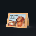 Golden Grandson Birthday Golden Retriever Card<br><div class="desc">Celebrate your grandson's birthday with an address card to delight golden retriever owners. The card features a beautiful golden in a classic champion pose. Designed in gold and black colors will be a great success,  keepsake for a golden retriever fan!</div>