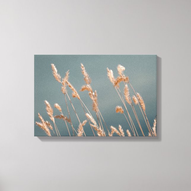 Golden Grass Seed Heads On Turquoise Blue Lake Canvas Print (Front)