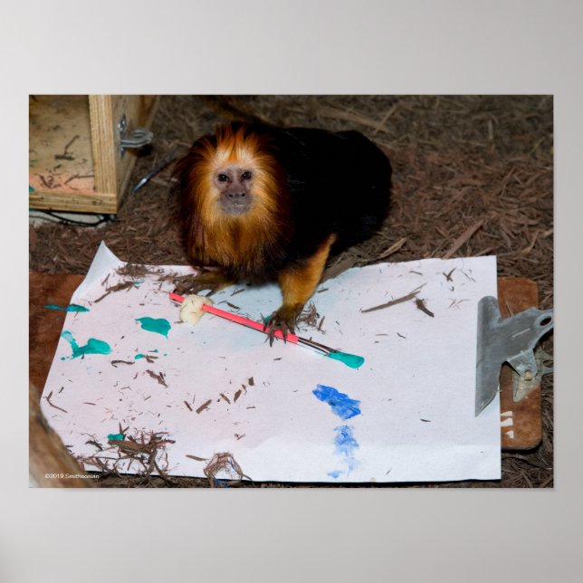 Golden-Headed Lion Tamarin Painting Poster (Front)