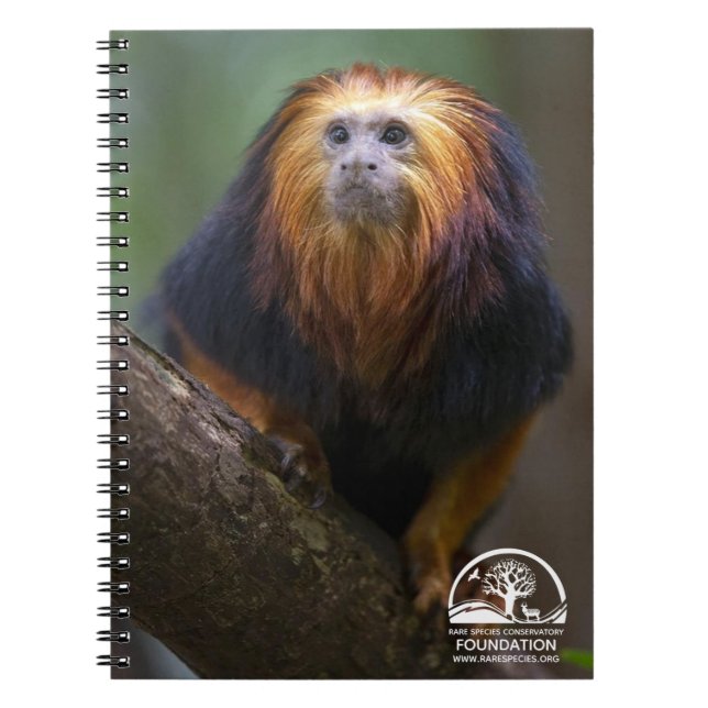 Golden Headed Lion Tamarins Notebook (Front)