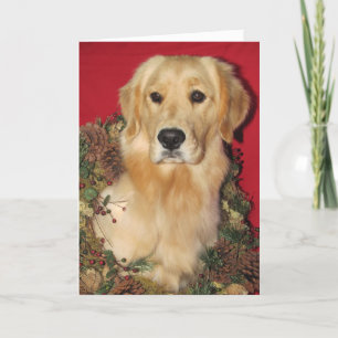 Golden Holiday Wishes