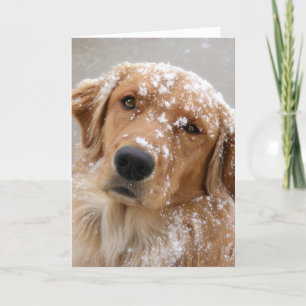 Golden Holidays and a Dog-gone happy New Year Holiday Card