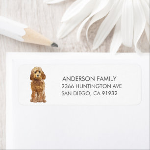 Golden Honey Cockapoo Adresse de retour