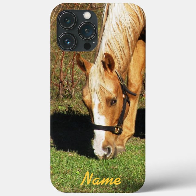 Golden Horse Closeup iPhone 13 Pro Max Coque (Verso)