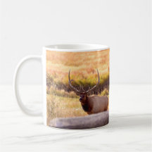 Golden Hour Bull Elk