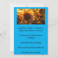 Golden Hour Huge Blooming Sunflower (AI)