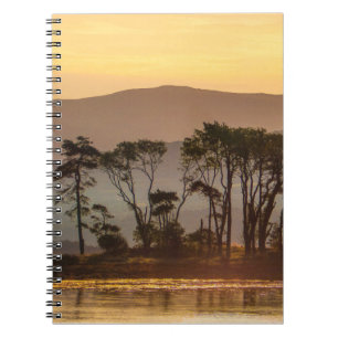 Golden Hour Reflections with Silhouetted Trees Notebook