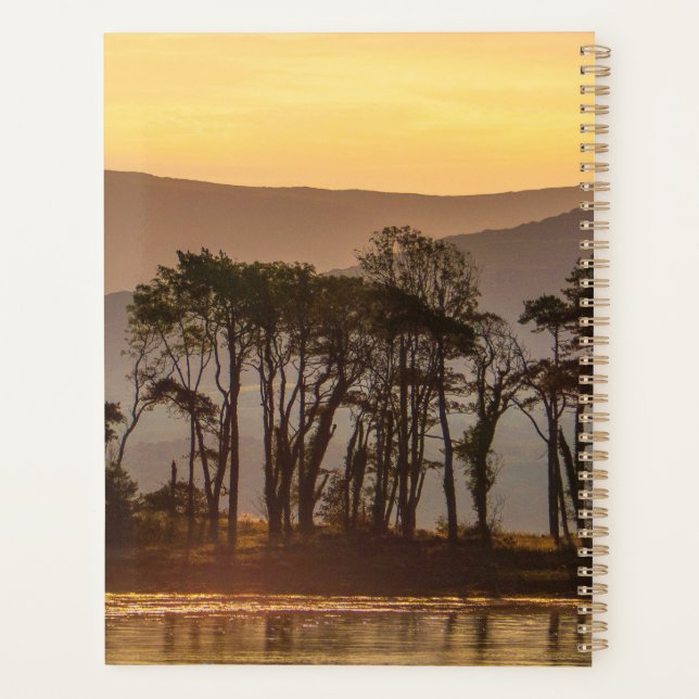 Golden Hour Reflections with Silhouetted Trees Planner (Back)
