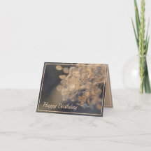 Golden Hydrangea Flowers Winter