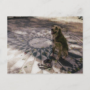 Golden in Strawberry Fields aka "Imagine" Postcard