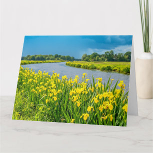 Golden Irises inspiring the symbol Fleur de Lis. Card