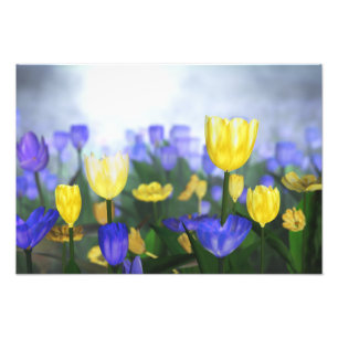 Golden Jubilee Photo Print