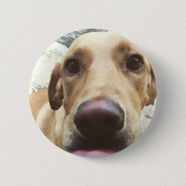 Golden Lab 2 Inch Round Button (Front)