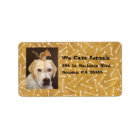 golden lab/chipmunk address labels