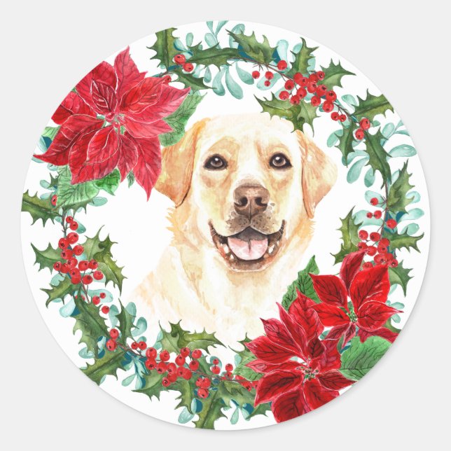 Golden Lab Poinsettia Holly Holiday Wreath Classic Round Sticker (Front)