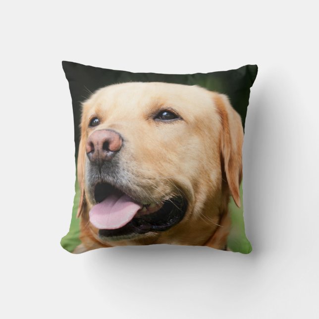Golden Lab - the Soul of a Dog Throw Pillow (Front)