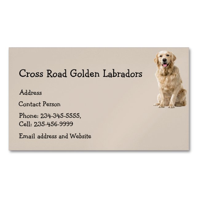 Golden Labrador Dog Pet Animal  Business Card Magn (Front)