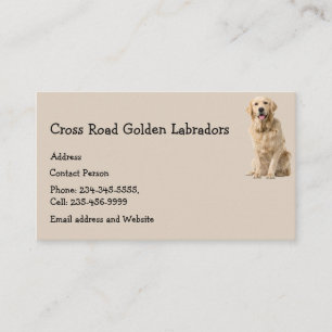 Golden Labrador Dog Pet Animal  Business Card Magn
